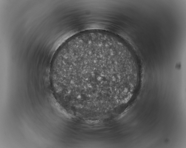 X0000112471121200909071127