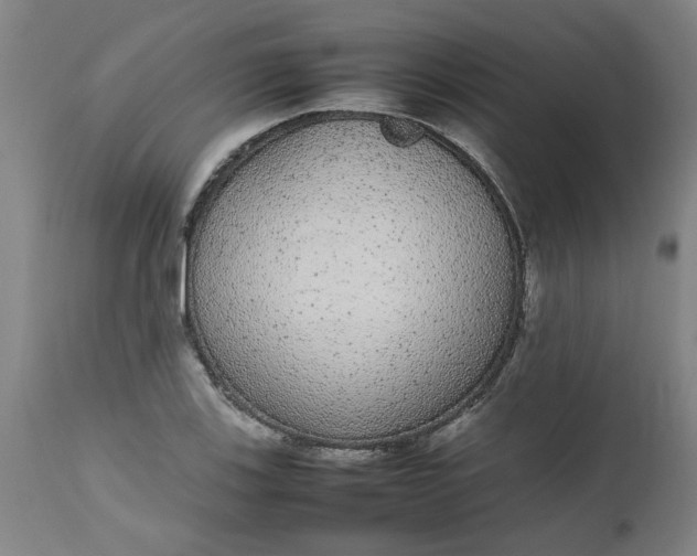 X0000112471123200909071127