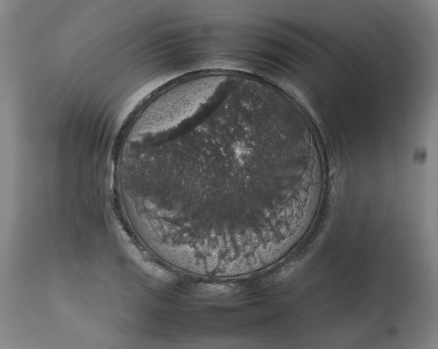 X0000112471125200909071127