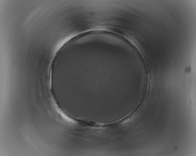 X0000112471127200909071127