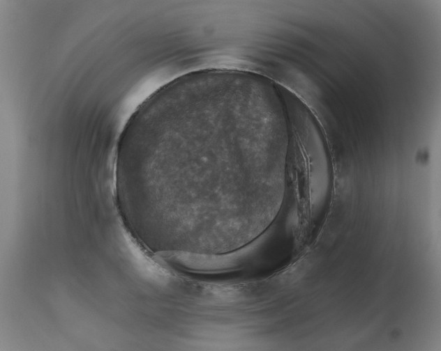 X0000112471128200909071127