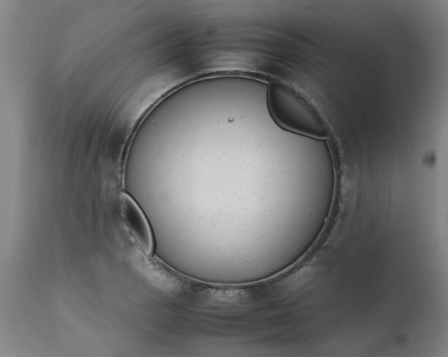 X0000112471129200909071127