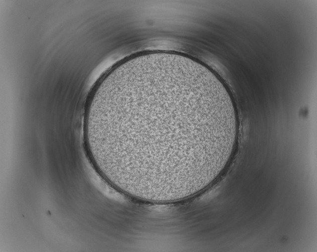 X0000112471130200909071127