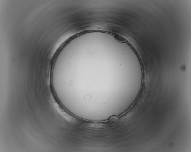 X0000112471131200909071127