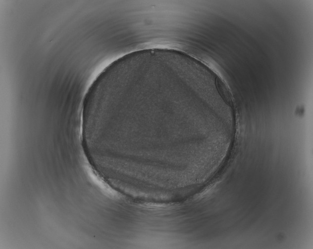 X0000112471132200909071127