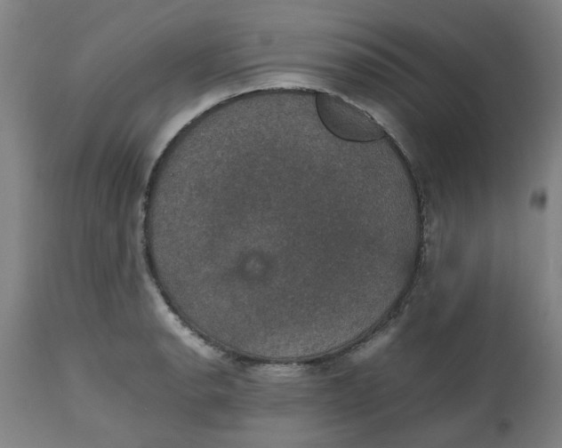 X0000112471134200909071127