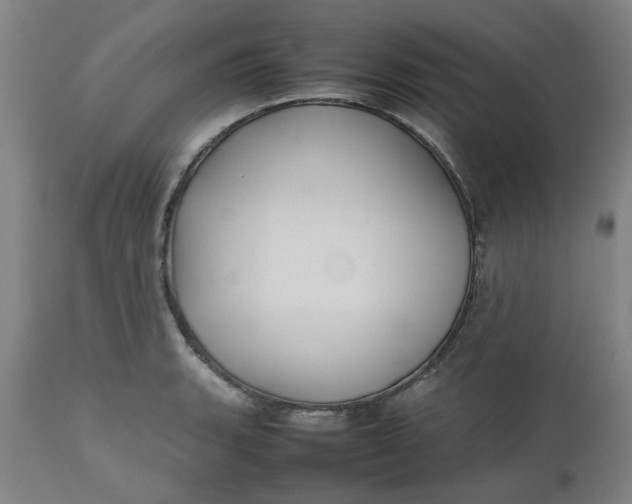 X0000112471135200909071127