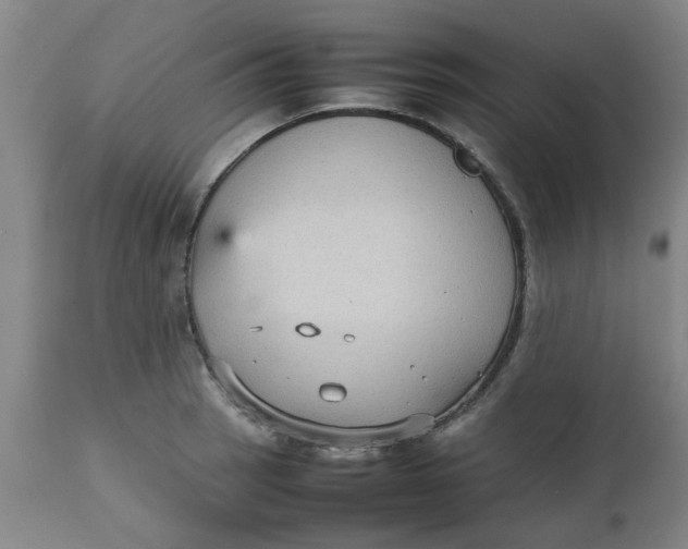 X0000112471137200909071127