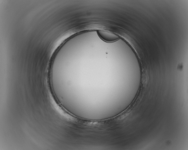 X0000112471139200909071127