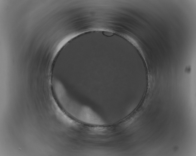 X0000112471141200909071127