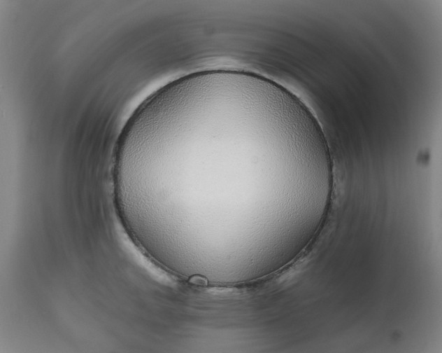 X0000112471142200909071127