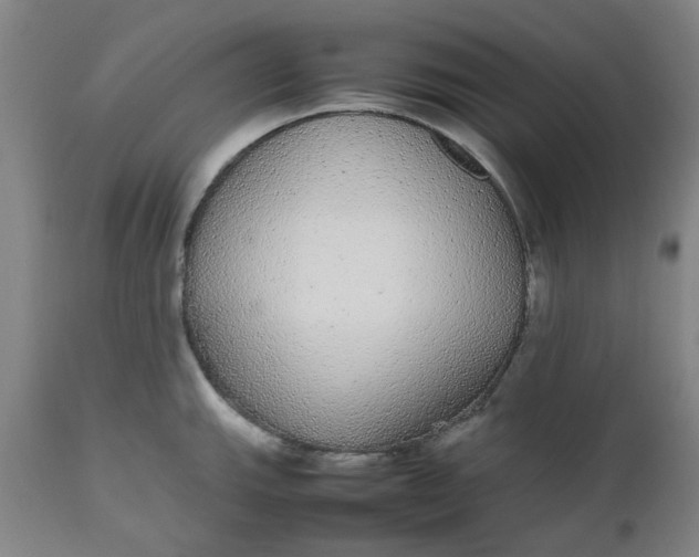 X0000112471143200909071127