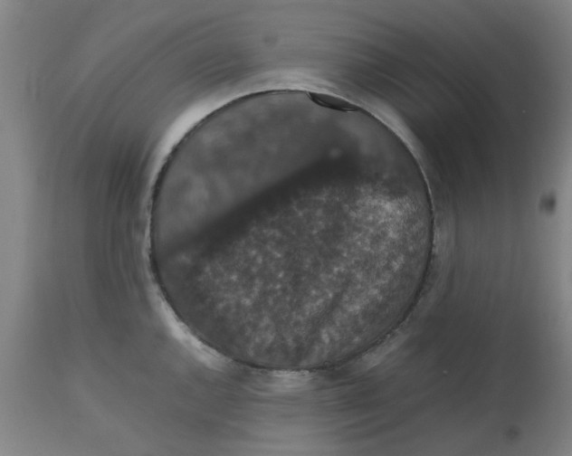 X0000112471144200909071127