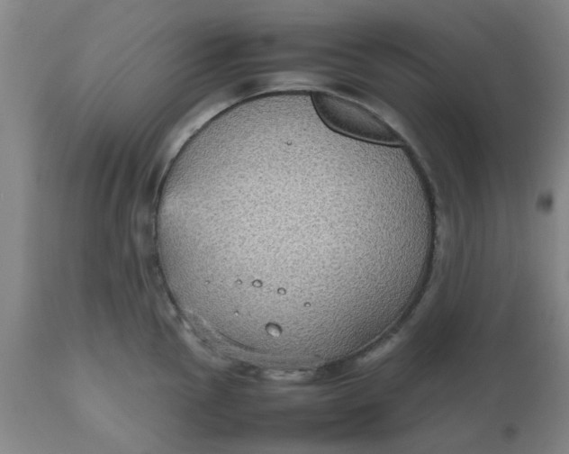 X0000112471145200909071127