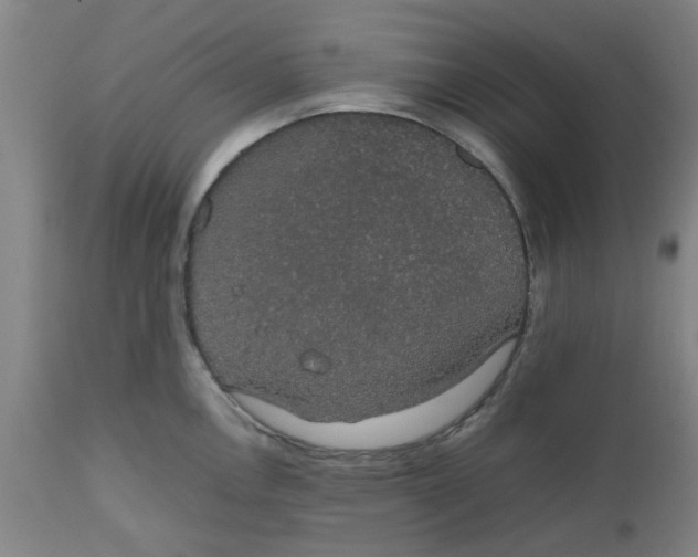 X0000112471146200909071127