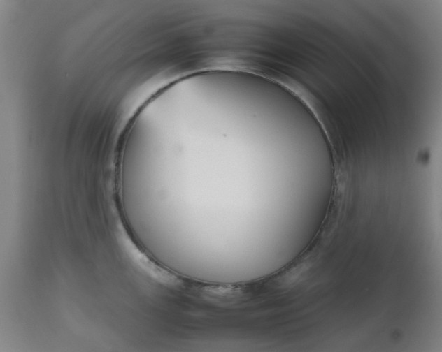 X0000112471147200909071127