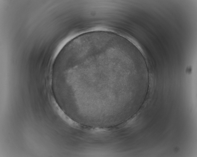 X0000112471148200909071127