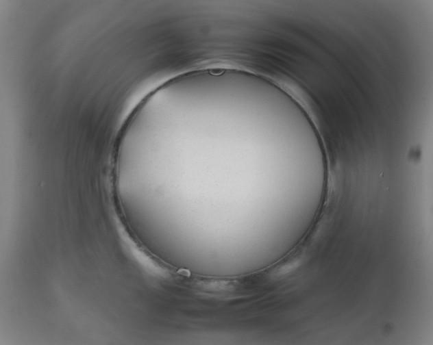 X0000112471149200909071127