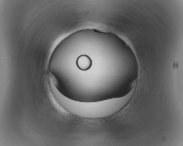 X0000112471152200909071127