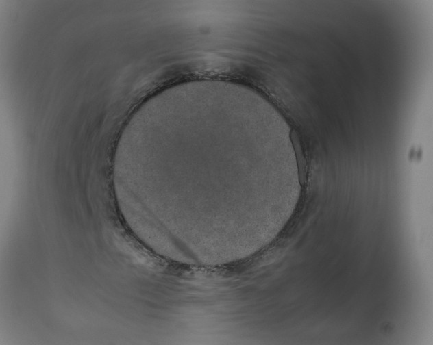 X0000112471153200909071127