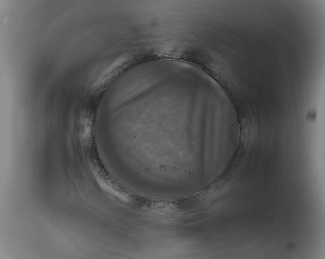 X0000112471154200909071127