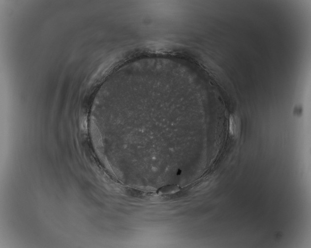 X0000112471155200909071127