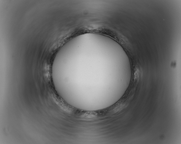 X0000112471156200909071127