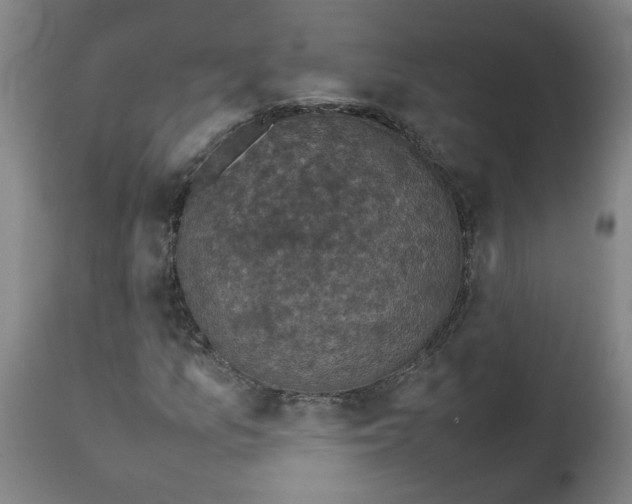 X0000112471157200909071127