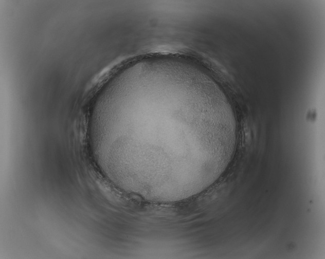 X0000112471158200909071127