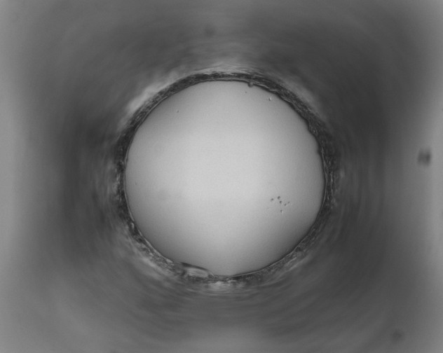 X0000112471160200909071127