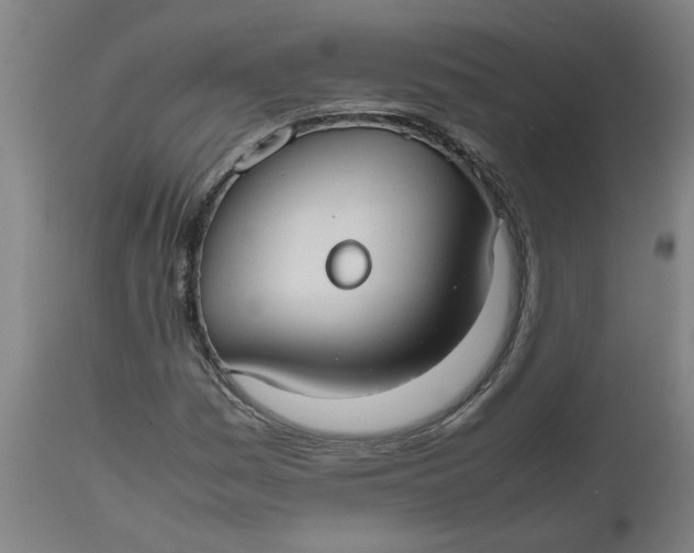 X0000112471161200909071127