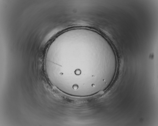 X0000112471163200909071126