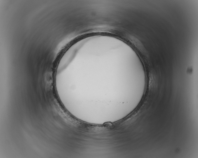 X0000112471164200909071126