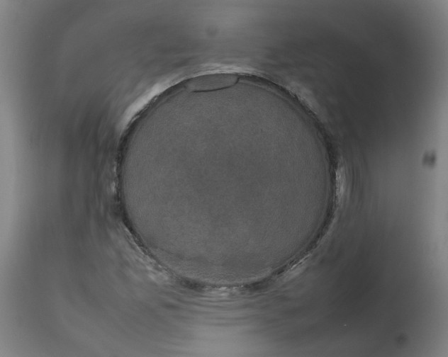 X0000112471165200909071126