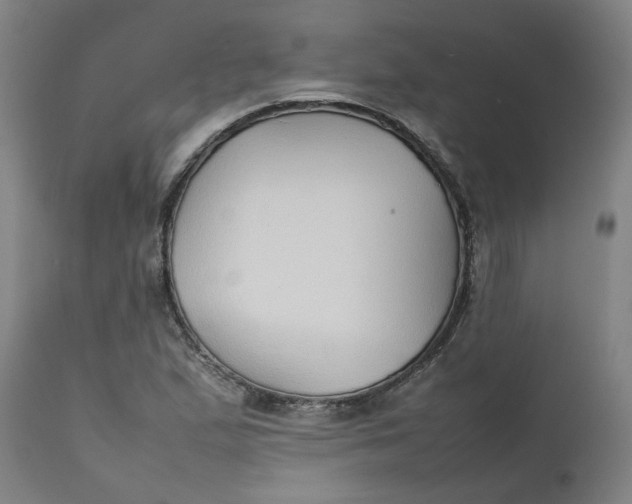 X0000112471167200909071126