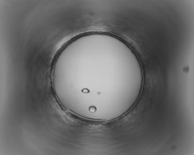 X0000112471168200909071126