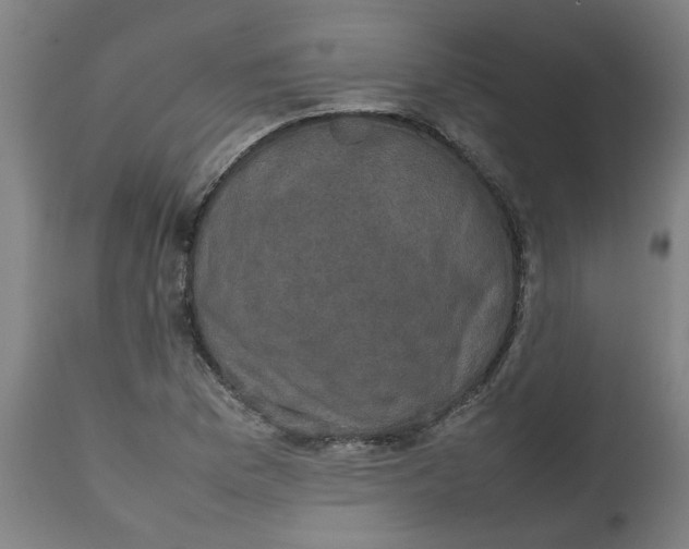 X0000112471169200909071126