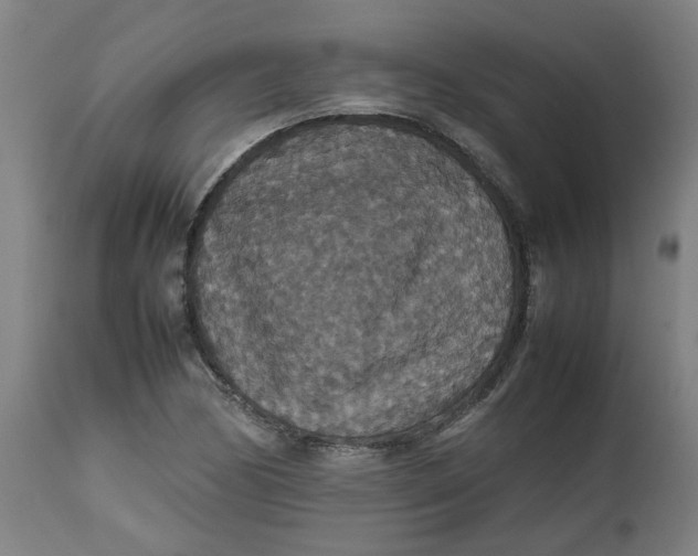 X0000112471170200909071126