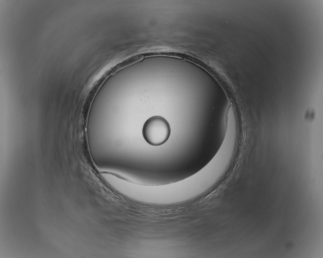 X0000112471173200909071126