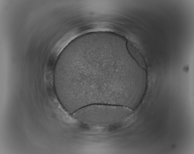 X0000112471177200909071126