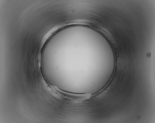 X0000112471180200909071126