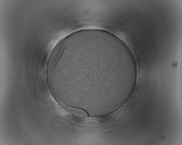 X0000112471181200909071126