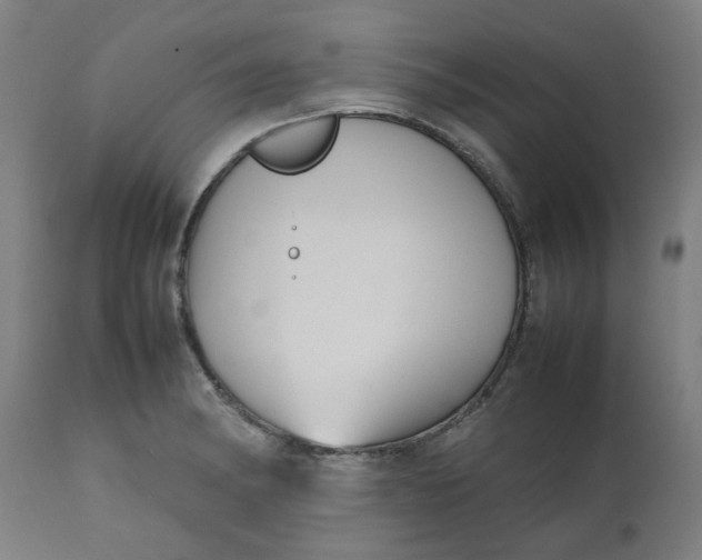 X0000112471182200909071126