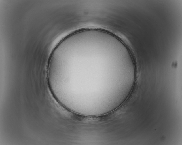 X0000112471183200909071126