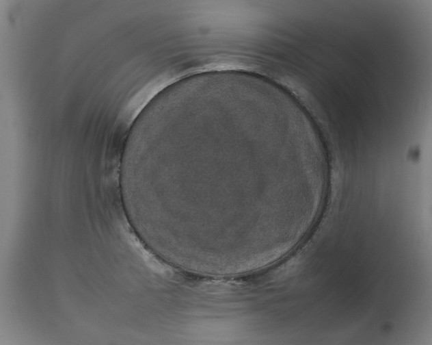 X0000112471185200909071126