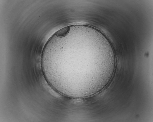 X0000112471186200909071126