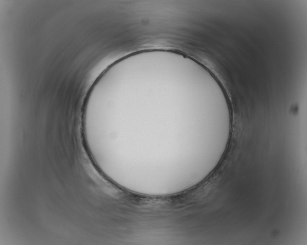 X0000112471187200909071126