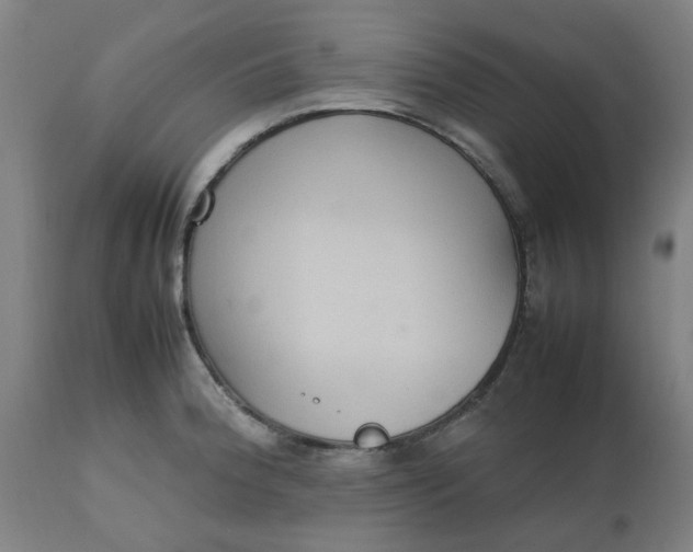 X0000112471188200909071126