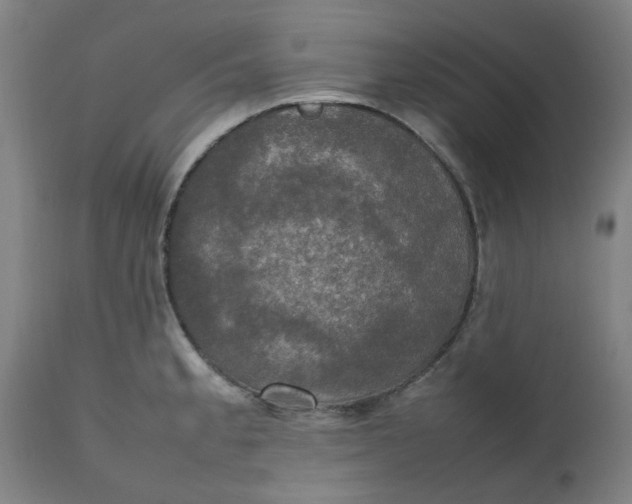 X0000112471189200909071126