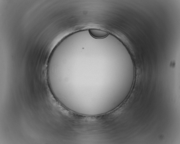 X0000112471190200909071126